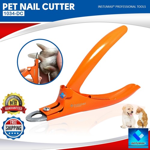 Pet dog toe - pet,